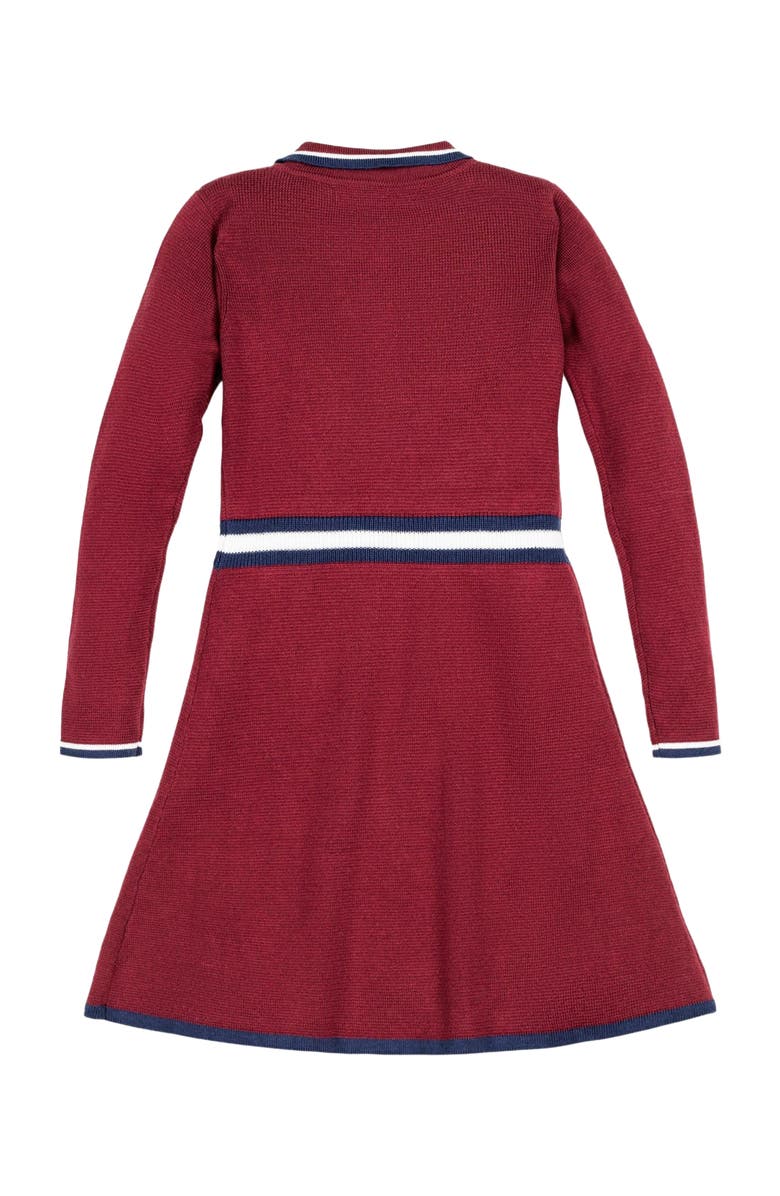 Hope & Henry Baby Girls' Organic Henley Sweater Dress, Infant, Alternate, color, Oxblood With Tipping