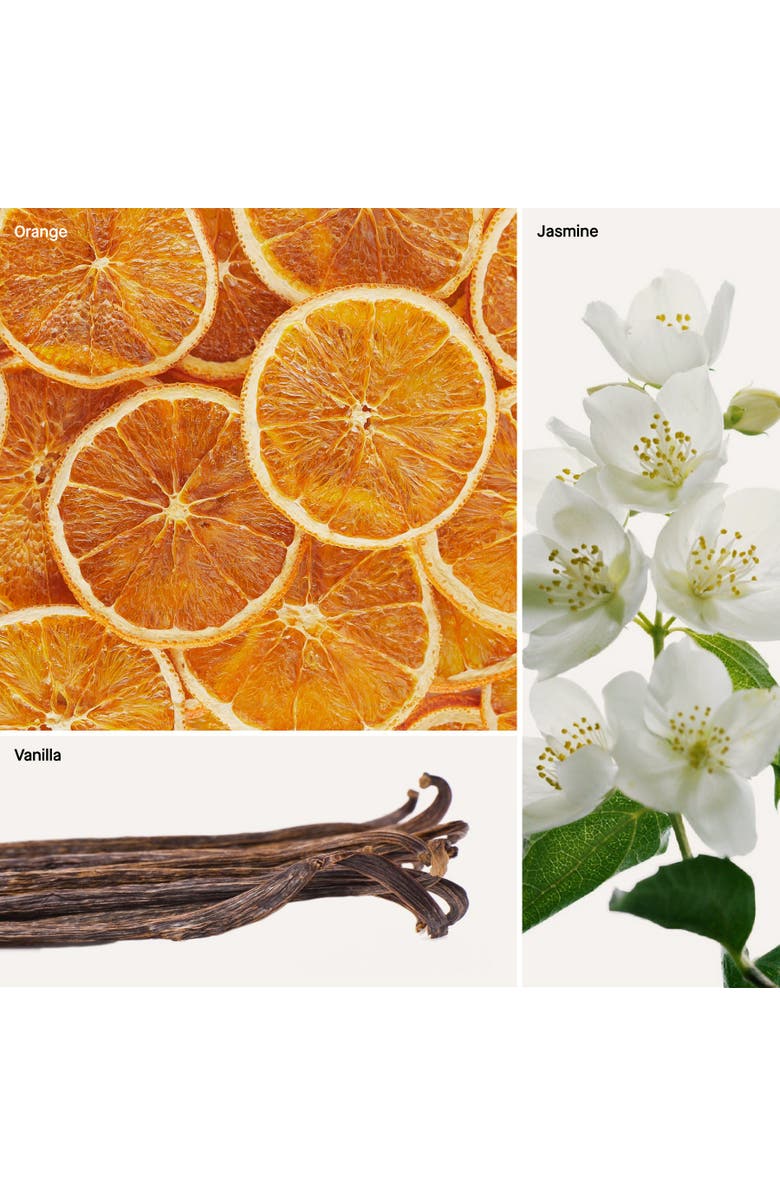 Dusa Fragrances Baby Touch - 5 Fl Oz Reed Diffuser, Alternate, color, Baby Touch