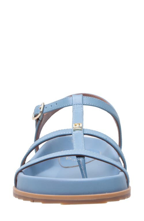 Shop Linea Paolo Lilith Ankle Strap Sandal