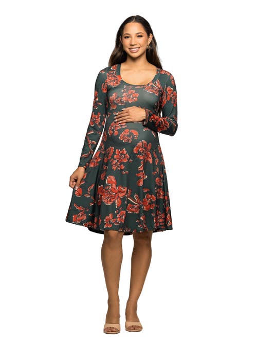 24seven Comfort Apparel Long Sleeve Fit And Flare Dress In Multi