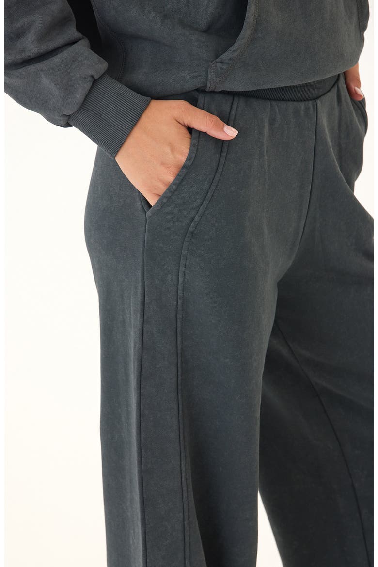 Esmeralda Mineral Wash Wide Leg Pants, Alternate, color, CARBON