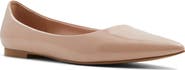 ALDO Stessy Pointed Toe Flat