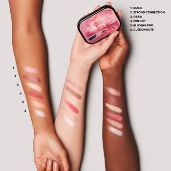 Connect in Color 6-Pan Eyeshadow Palette