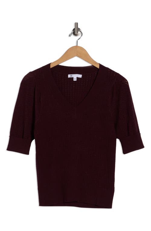 Dr2 By Daniel Rainn Pointelle Stitch Sweater In Brown