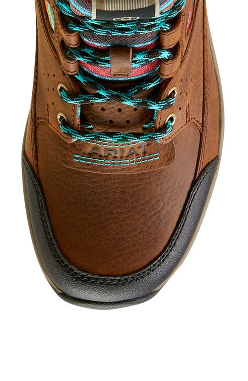 Ariat Terrain Venttek™ 360° Shoe In Brown