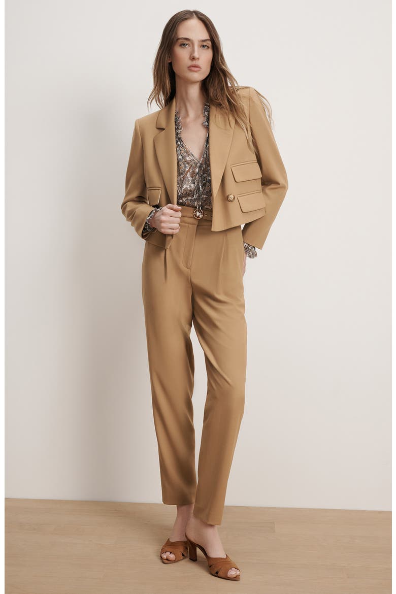 Wilkie Cropped Jacket, Alternate, color, HAZELNUT