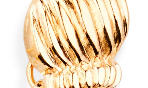 Tasha Shell Drop Hoop Earrings In Metallic