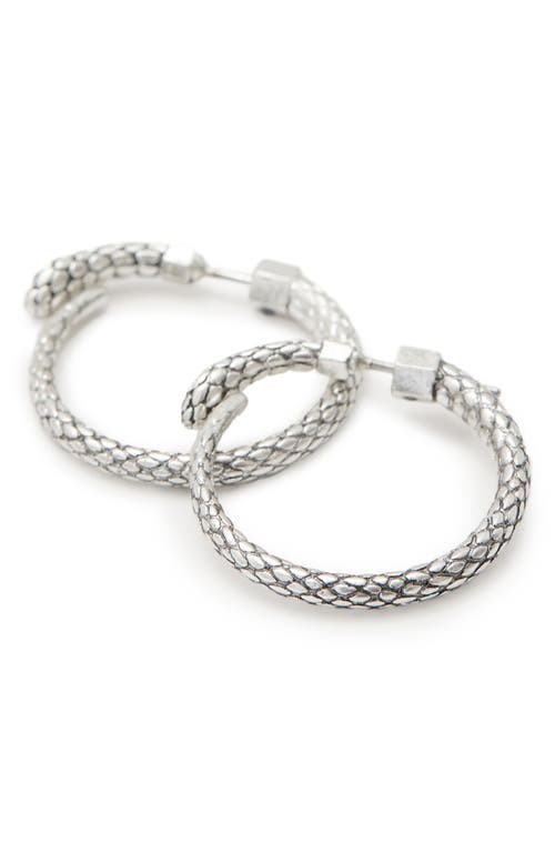 Shop Allsaints Serpentine Front/back Hoop Earrings In Warm Silver