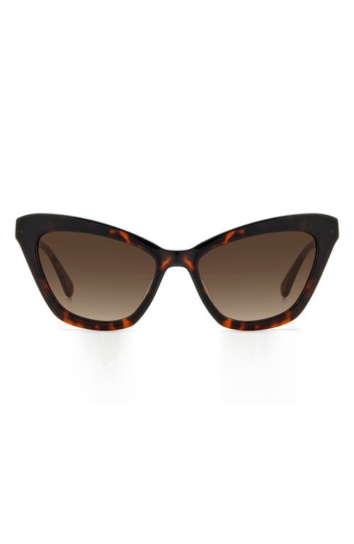 Kate Spade New York Amelie 54mm Gradient Cat Eye Sunglasses In Brown