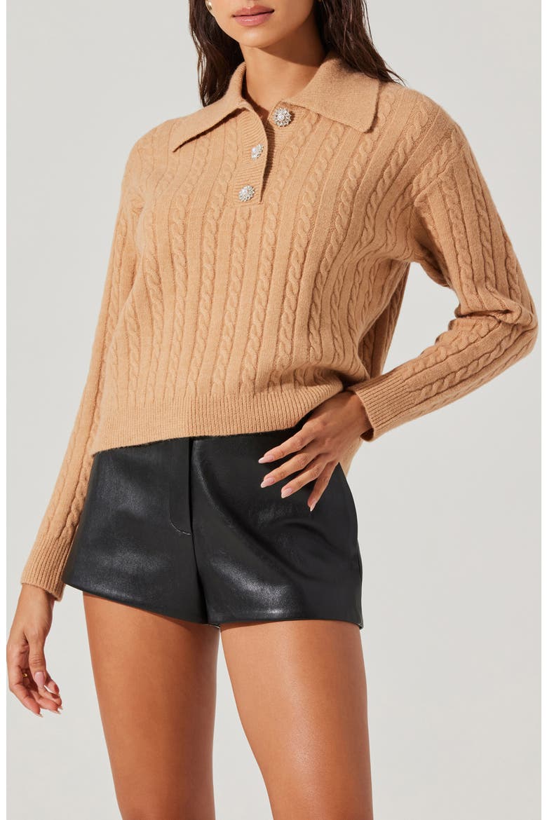 Jewel Button Cable Polo Sweater, Main, color, BISCOFF