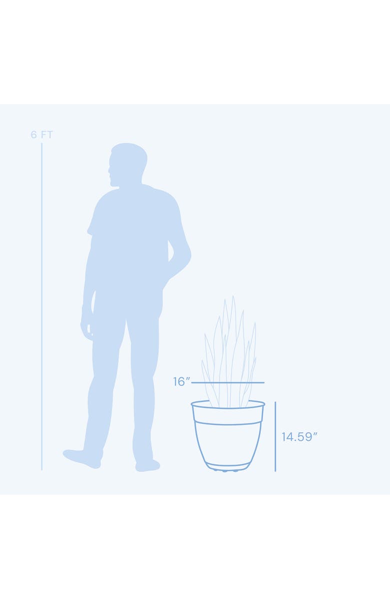 Bloem 16 Inch Dayton Planter With Saucer, Turtle Green, Alternate, color, Green