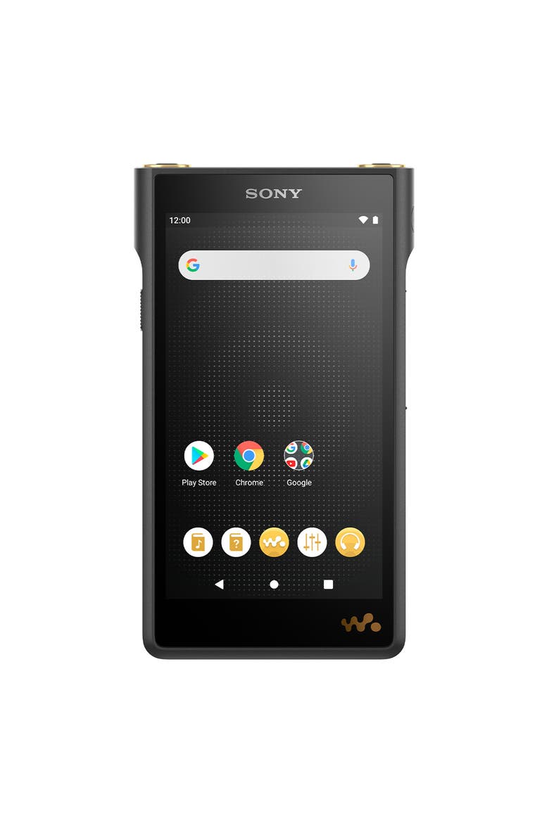 NW-WM1AM2 128GB Walkman Digital Music Player, Alternate, color, Black