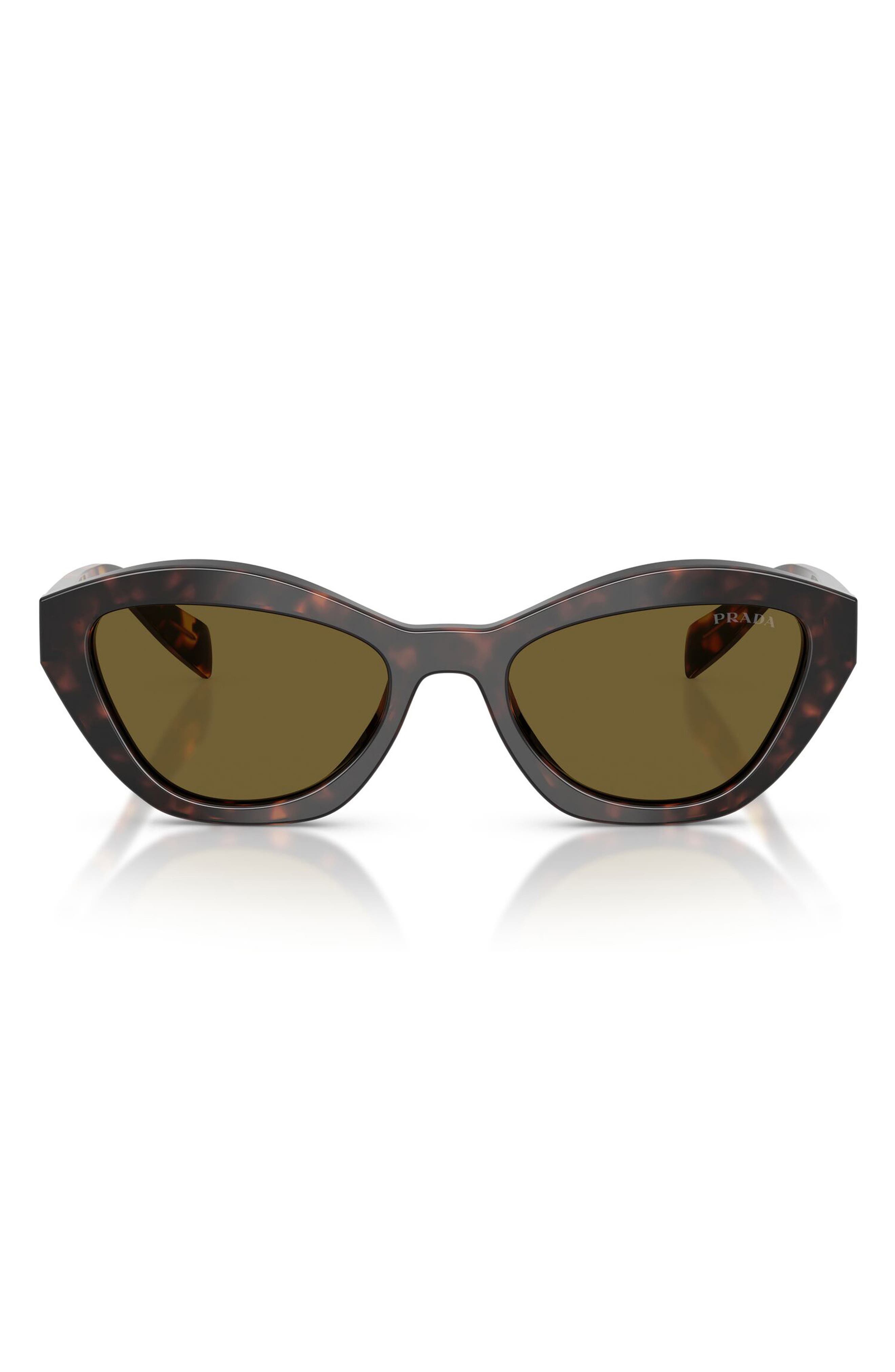 ROOT TORTOISE / DARK BROWN