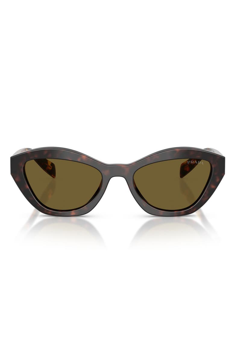 Prada 52mm Butterfly Sunglasses, Main, color, Root Tortoise / Dark Brown