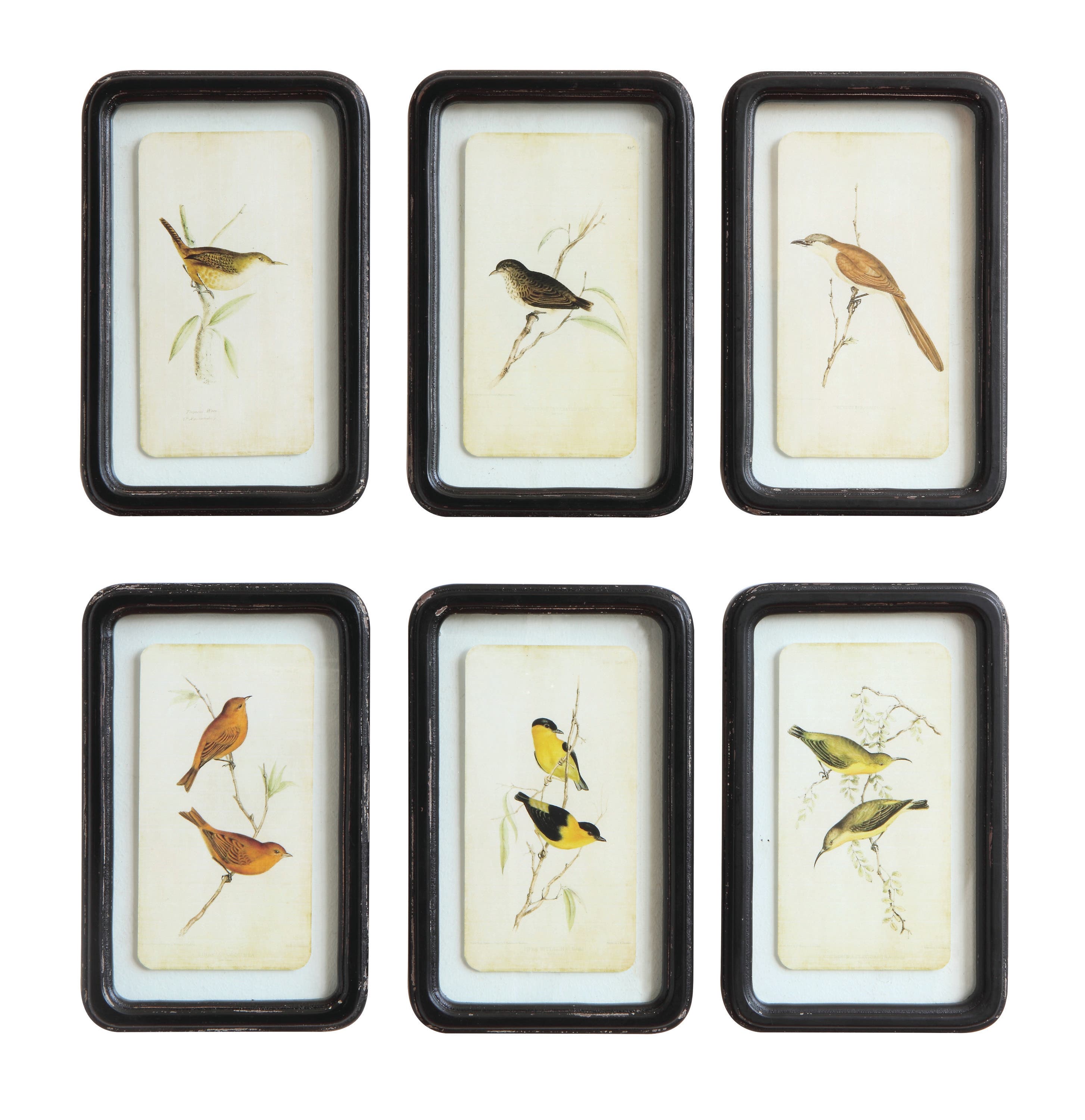 Storied Home Framed Wall Décor