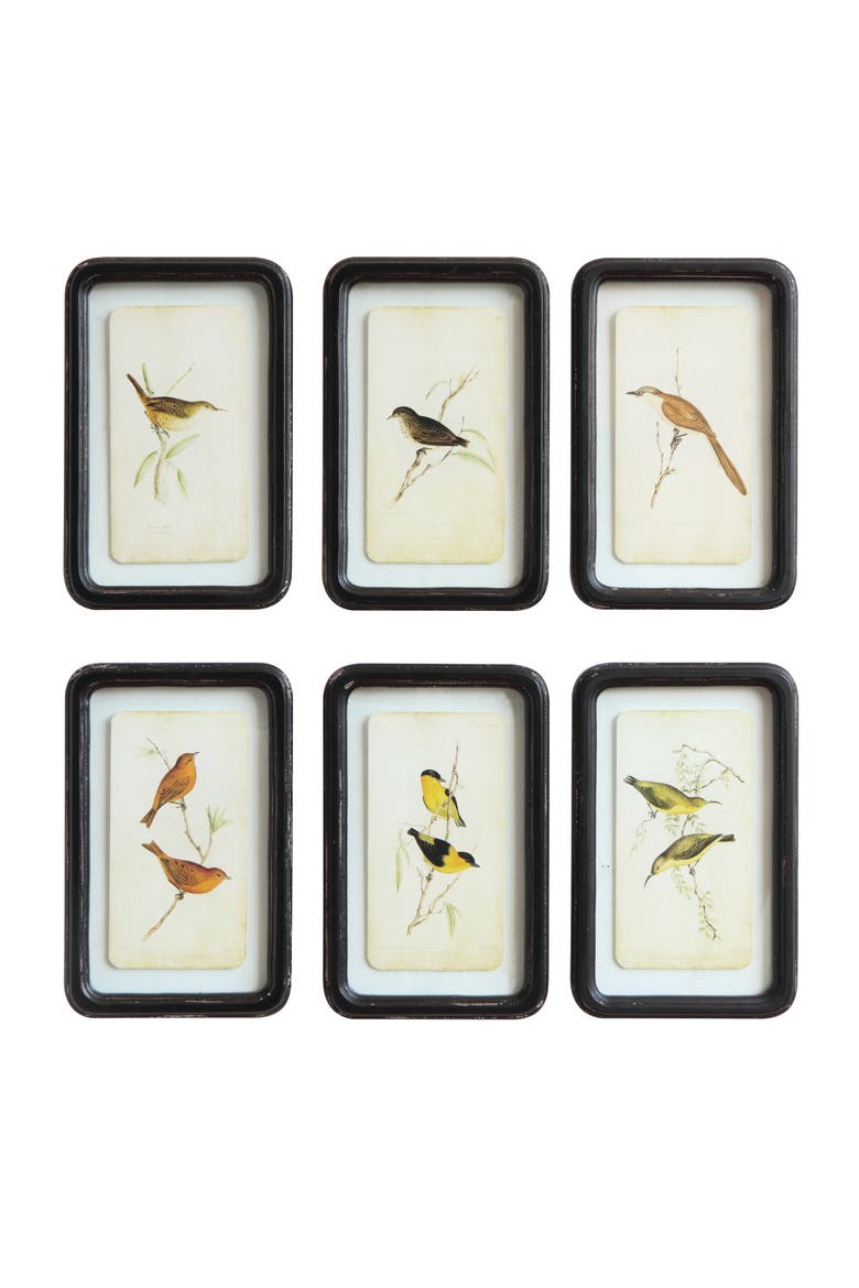 Framed Wall Décor with Floating Bird Art, Main, color, Black