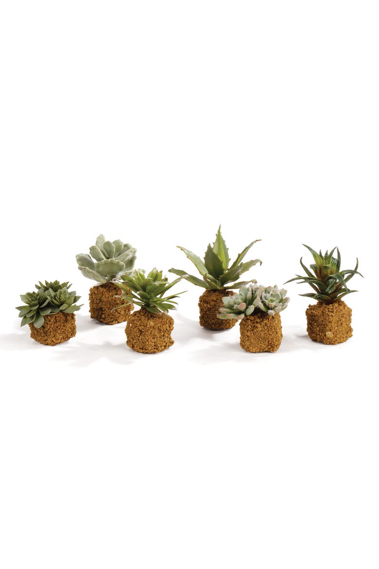 Succulent Faux (Fake) Drop-Ins 5.5", Main, color, Green