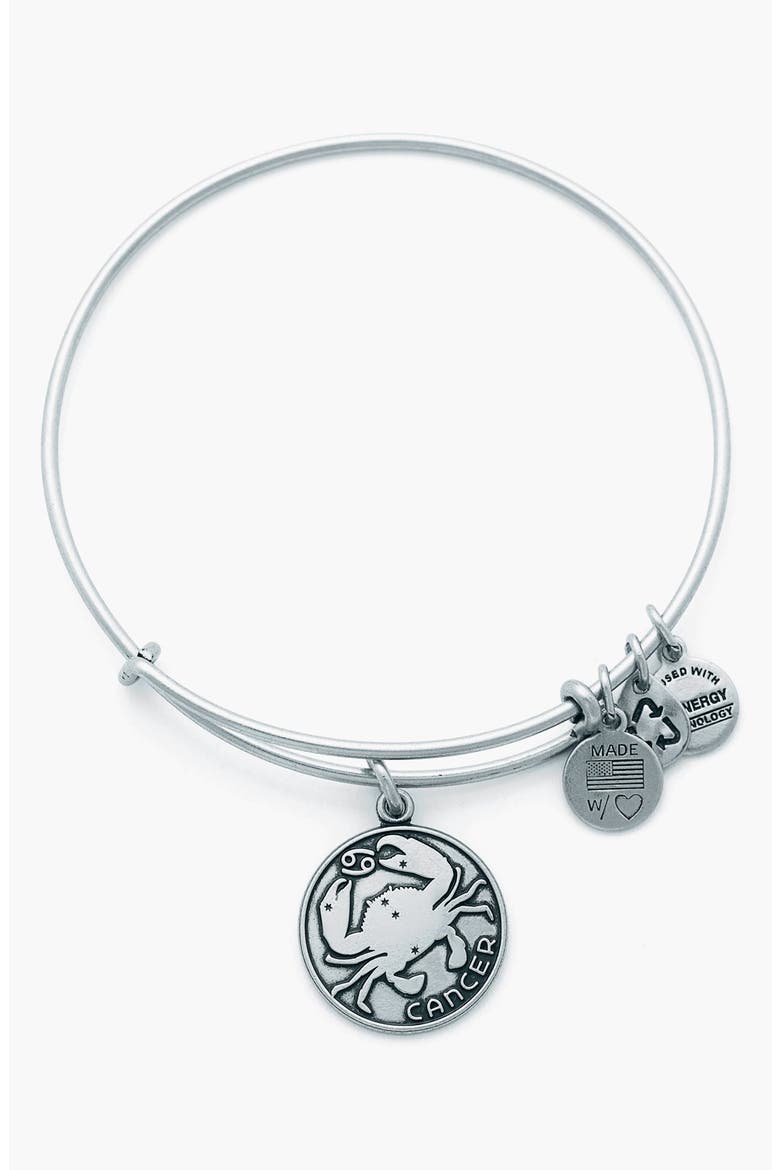 'Cancer' Adjustable Wire Bangle, Main, color, RAFAELIAN SILVER