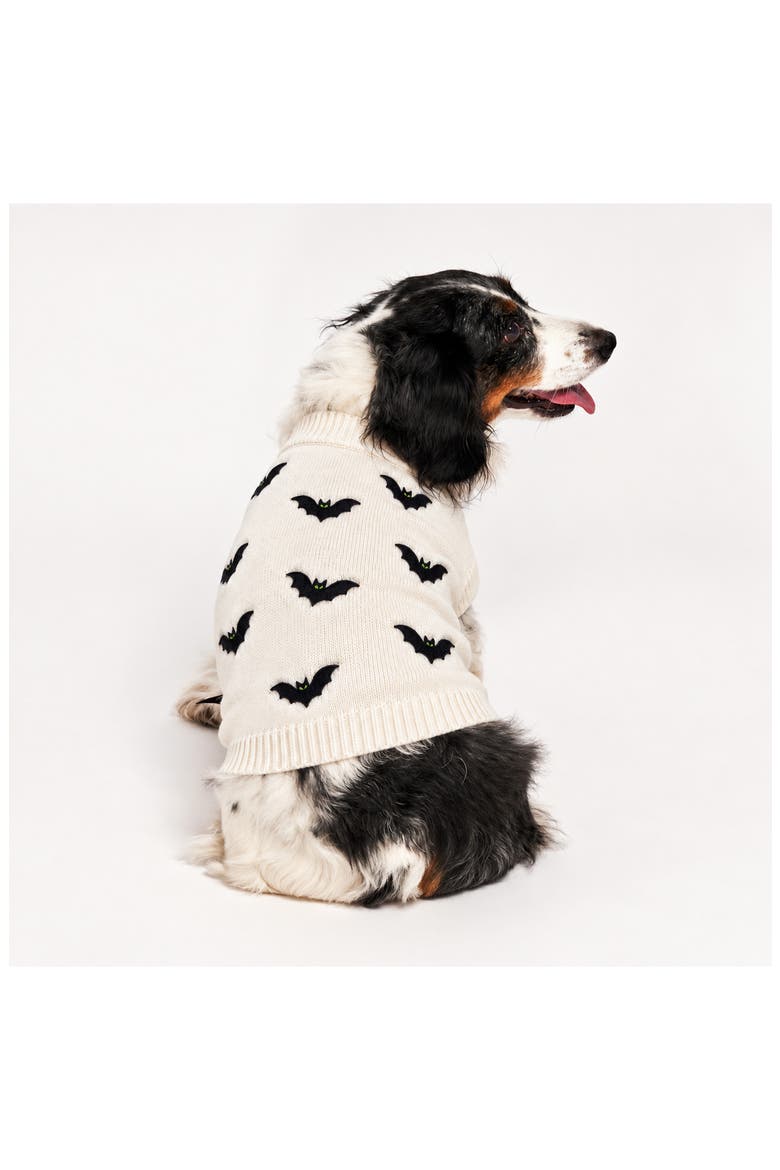 Bat Dog Sweater, Alternate, color, CREAM