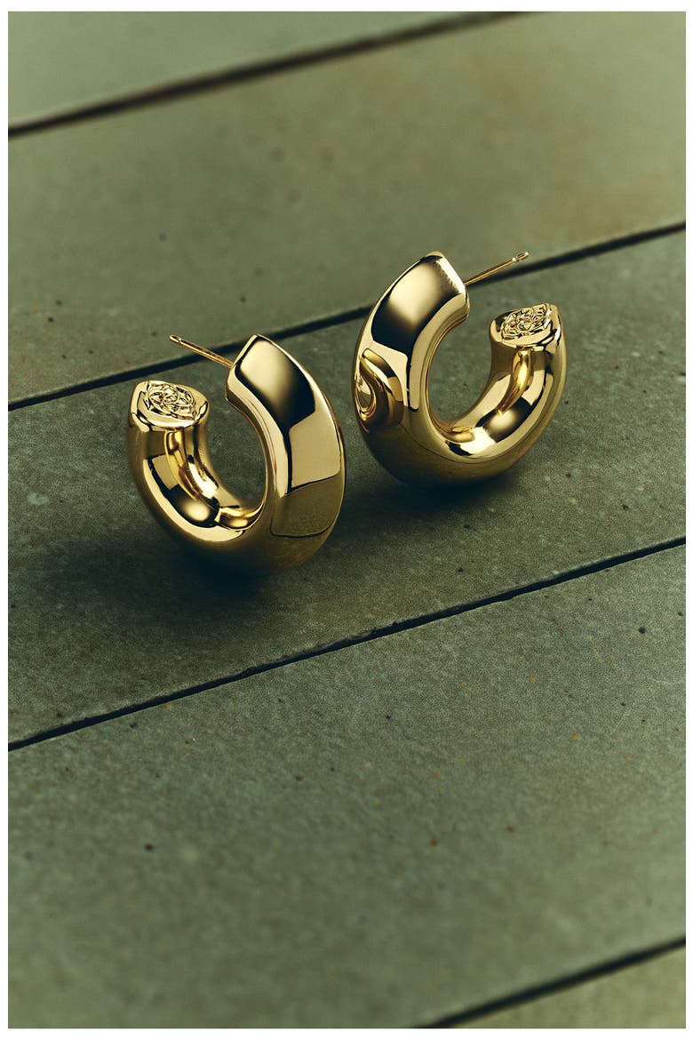 Embry Hoop Earrings, Alternate, color, VINTAGE GOLD