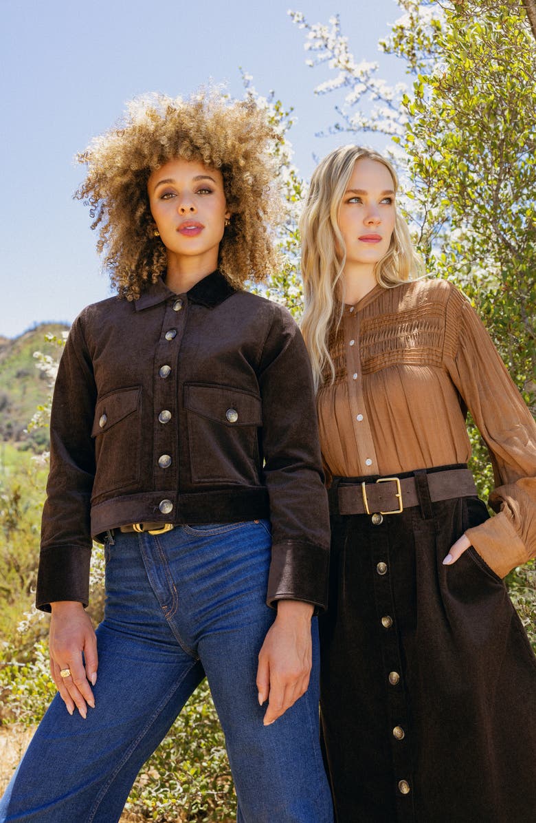 matty m. Jeri Cotton Blend Corduroy Jacket, Alternate, color, Dark Brown