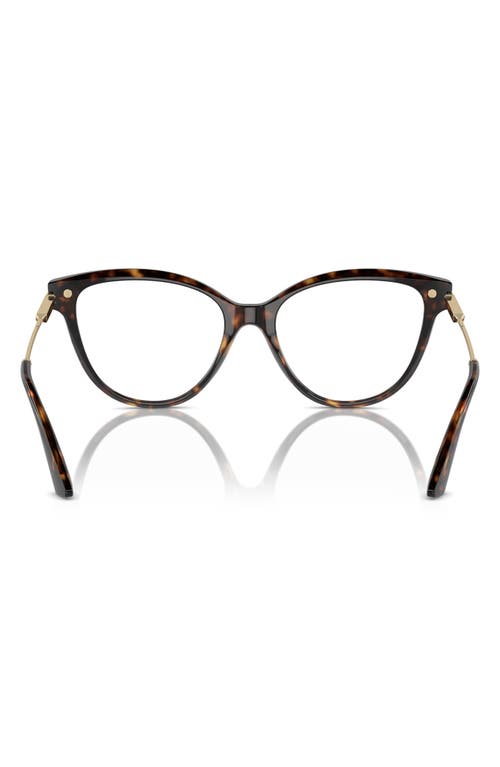 Jimmy Choo 52mm Cat Eye Optical Glasses In Brown
