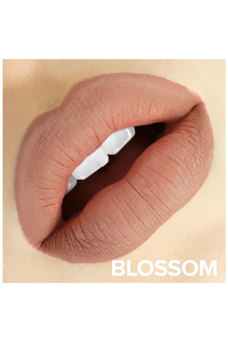 Magnetic Matte Lip Color, Alternate, color, BLOSSOM