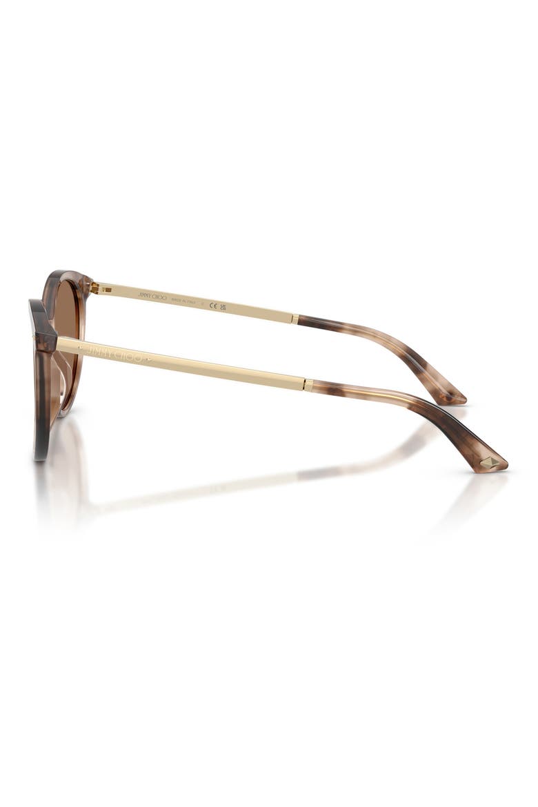 JC5060 53mm Phantos Sunglasses, Alternate, color, CHAI HAVANA / DARK BROWN