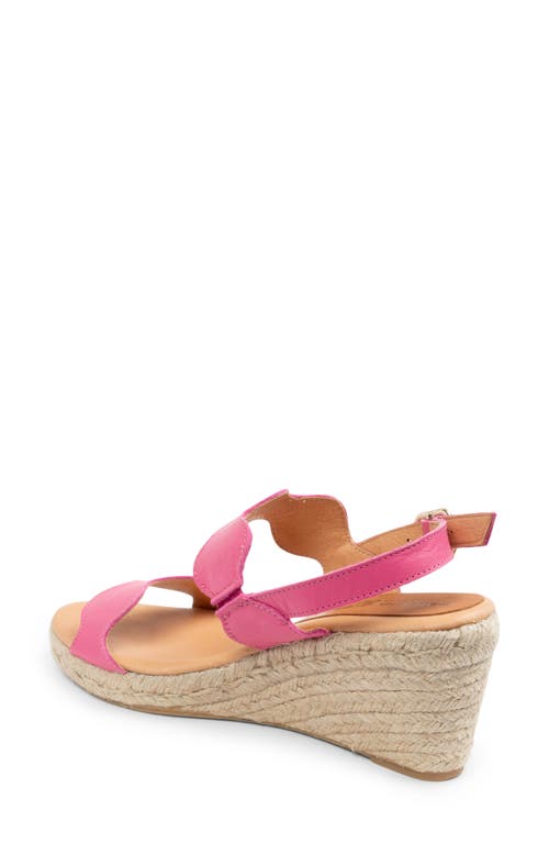 Patricia Green Palm Beach Wedge Sandal In Hot Pink Leather