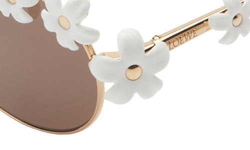 Loewe Signature Oval Sunglasses In Gold