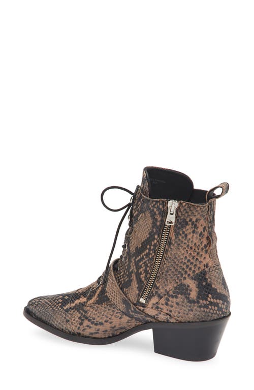 Allsaints Katy Pointed Toe Boot In Brown