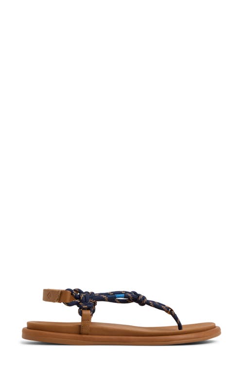 Sperry Isla T-bar Slingback Sandal In Brown