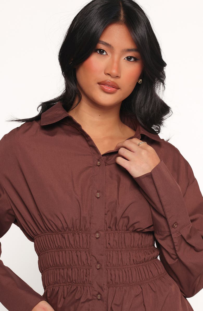 Petal & Pup Wallace Long Sleeve Mini Shirtdress, Alternate, color, Chocolate