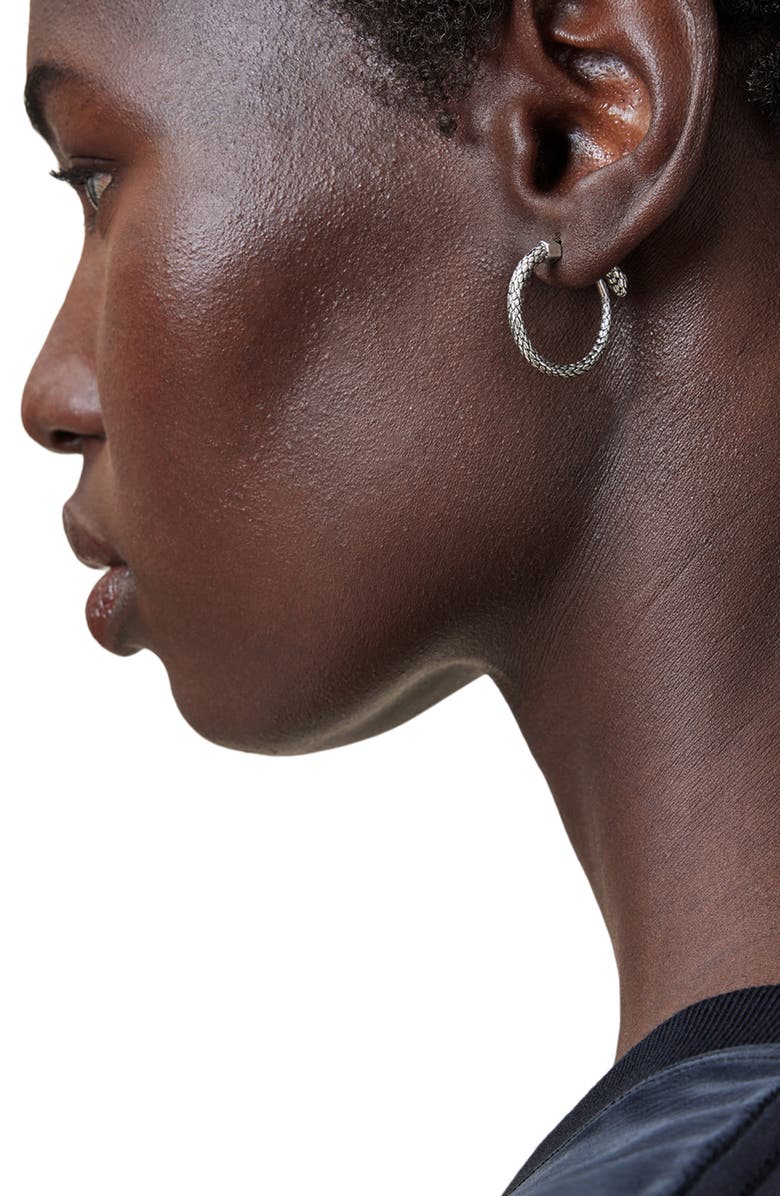 AllSaints Serpentine Front/Back Hoop Earrings, Alternate, color, 
