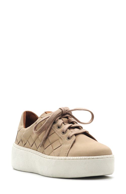 Gentle Souls Kindy Platform Sneaker In Brown