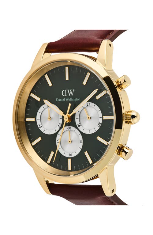 Daniel Wellington St Mawes 40mm In Brown