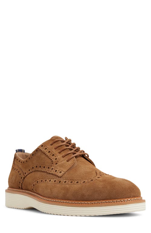Brooks Brothers Morganville Brogue Derby In Brown