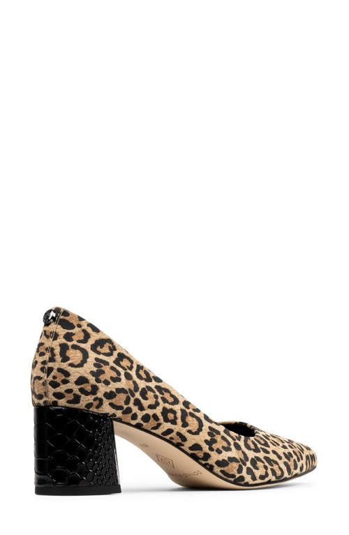 Donald Pliner Suzette Pointed Toe Pump In Black