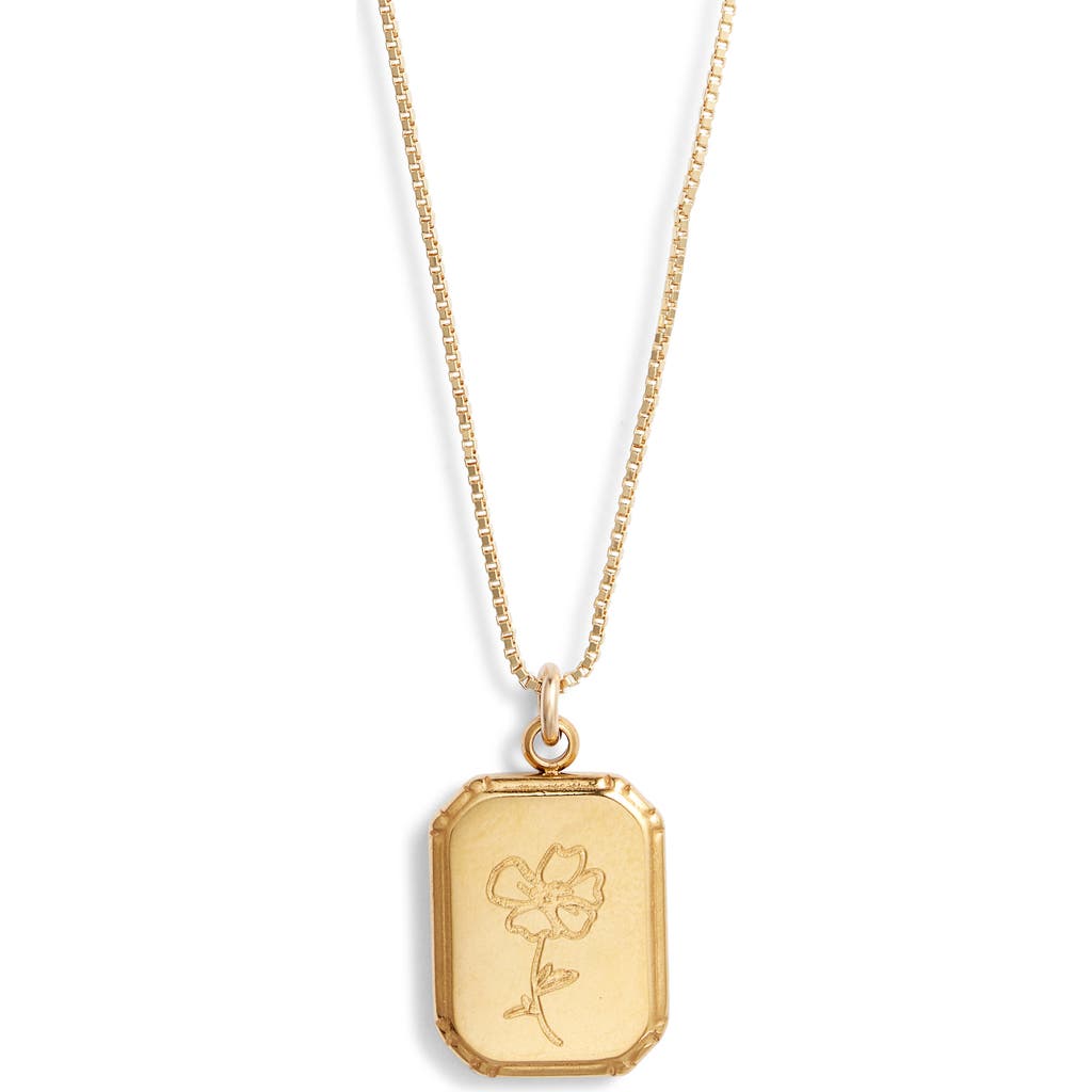 Set & Stones Audrey Birth Flower Pendant Necklace In Gold