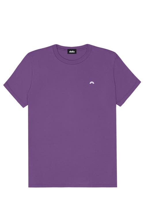 DALIX DALIX WOMENS LIL RAINBOW LIGHTWEIGHT JERSEY TEE 