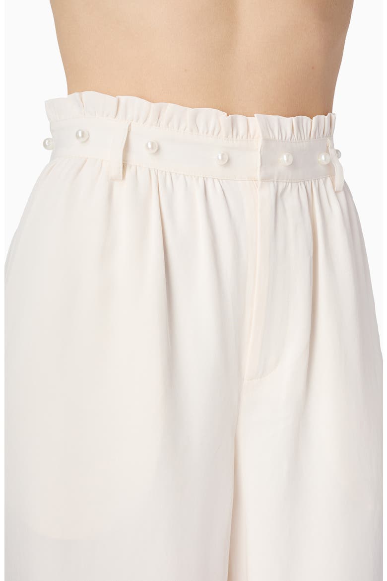 Hudson Wide Leg Pants, Alternate, color, CERAMIC