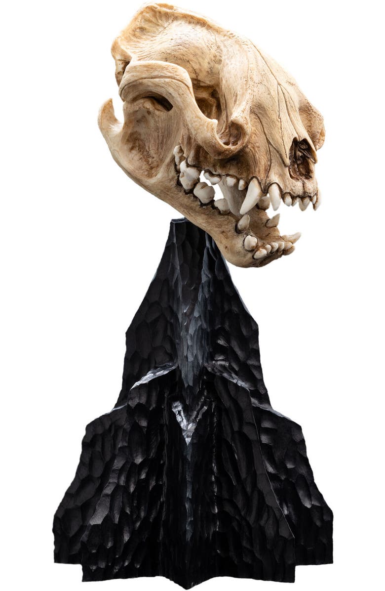 Weta Workshop Lotr Trilogy - Skull Of A Warg Miniature, Alternate, color, 