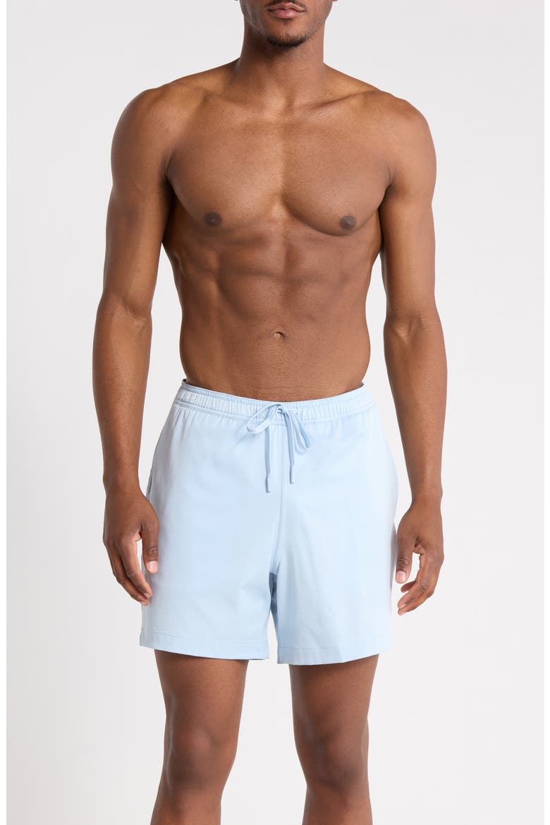 Volley Swim Shorts, Main, color, PLAYA BLUE