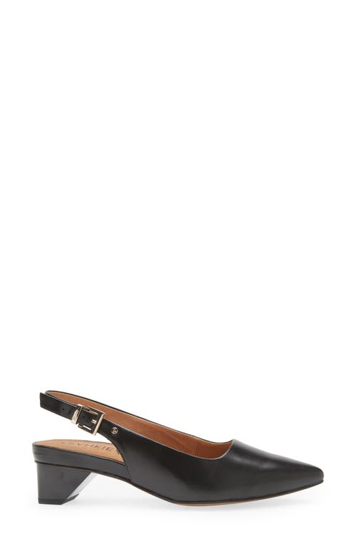 Frankie4 Juliett Ii Pointed Toe Slingback Pump