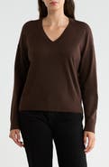 NORDSTROM RACK V-Neck Pullover Sweater
