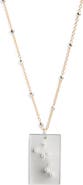 Set & Stones Zodiac Constellation Pendant Necklace