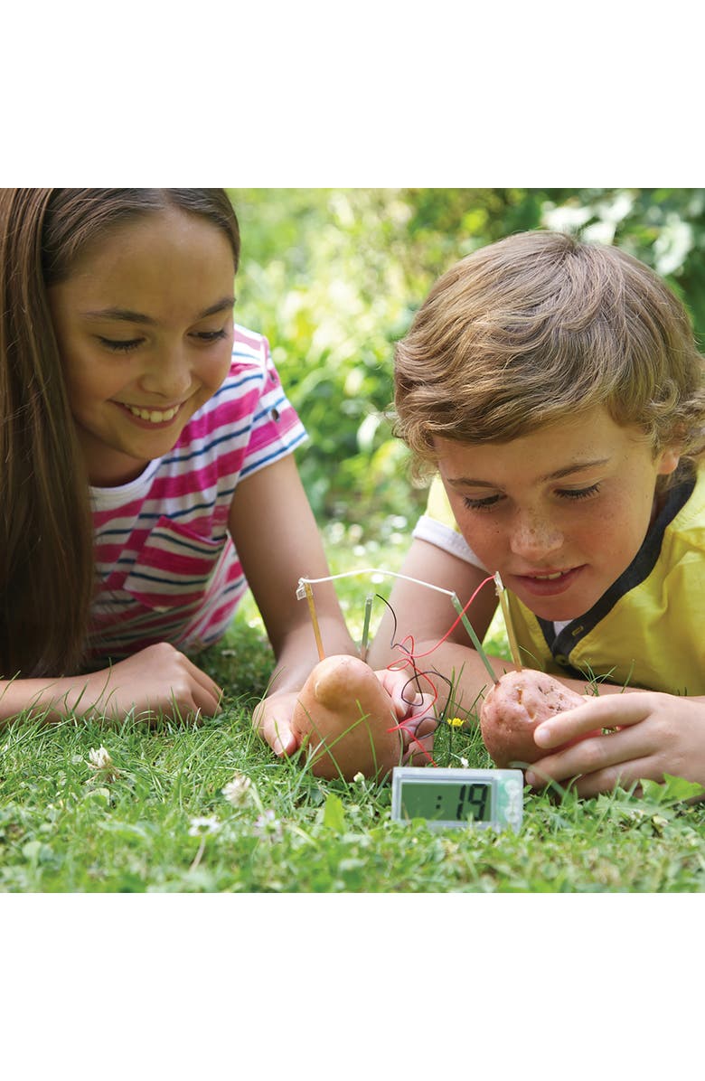 4M Green Science Potato Clock Diy Renewable Energy Kit, Power Digital Clock, Alternate, color, Multicolored