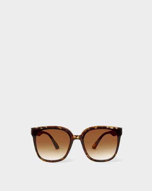 Katie Loxton Savannah Sunglasses In Brown