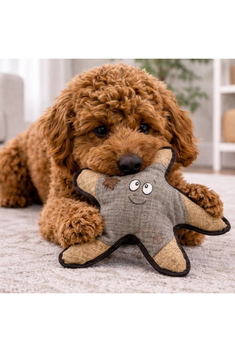 Plush Dog Toy, Alternate, color, Multicolored