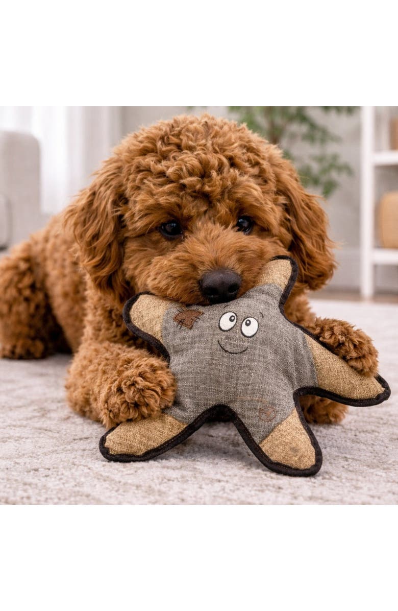 SnugArooz Plush Dog Toy, Alternate, color, Multicolored